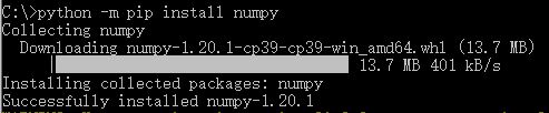 Install numpy
